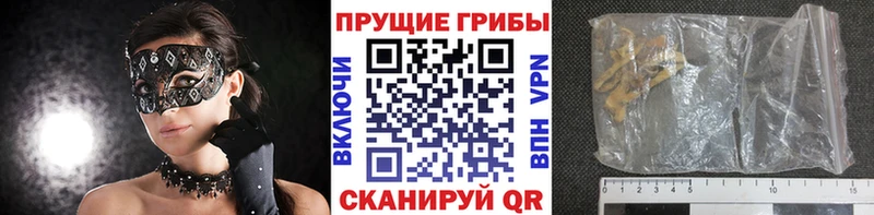 площадка официальный сайт  Сланцы  Псилоцибиновые грибы MAGIC MUSHROOMS  хочу  
